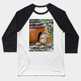 Chipmunk waiting for a visitor Baseball T-Shirt